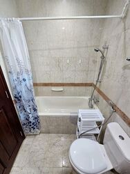 Tanglin Regency (D10), Condominium #485884531